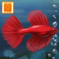Fish Tycoon icon