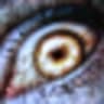 Euthanasia icon