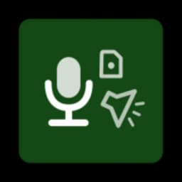 Playback Mic icon