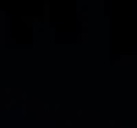 The Very Organized Thief icon