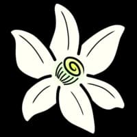 Azahar Emulator icon
