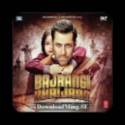 Bajrangi Bhaijaan icon