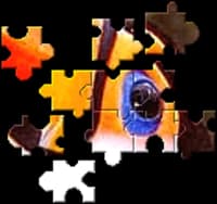BrainsBreaker icon