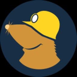Mullvad VPN icon