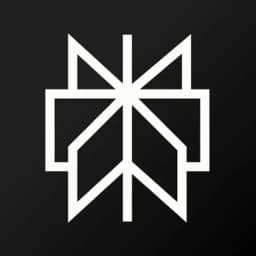 Perplexity icon