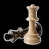 GNU Chess icon