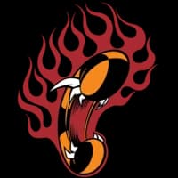 Crazy Taxi 3 icon