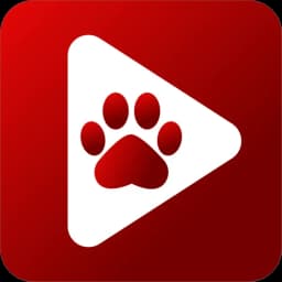 Bear Player icon