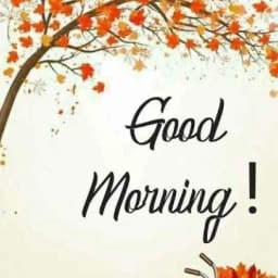 Good Morning, Night Wishes icon
