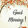 Good Morning, Night Wishes icon