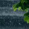 Realistic Rain Live Wallpaper icon