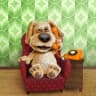 Talking Ben the Dog Free icon