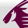 Qatar Airways का आइकन