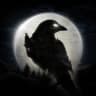 Ikon NIGHT CROWS