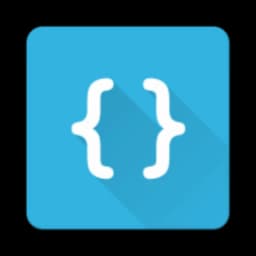 Options pour les développeurs icon