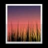 Live Wallpaper Picker icon