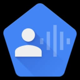 Voice Access icon