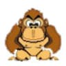 Donkey Kong Remake icon