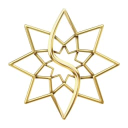 The Star icon