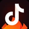 Douyin Huoshan Edition icon