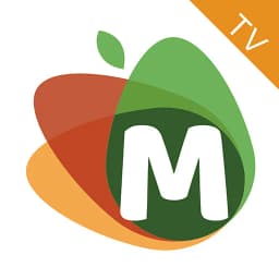 Micro-TV icon