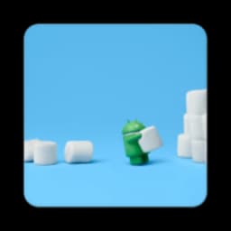 Play Store Version icon