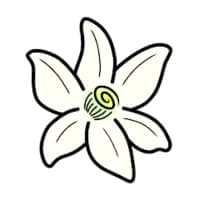 AzaharPlus icon
