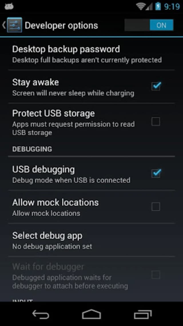 Options pour les développeurs screenshot 3