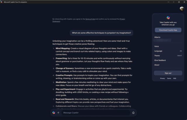 Microsoft Copilot screenshot 4