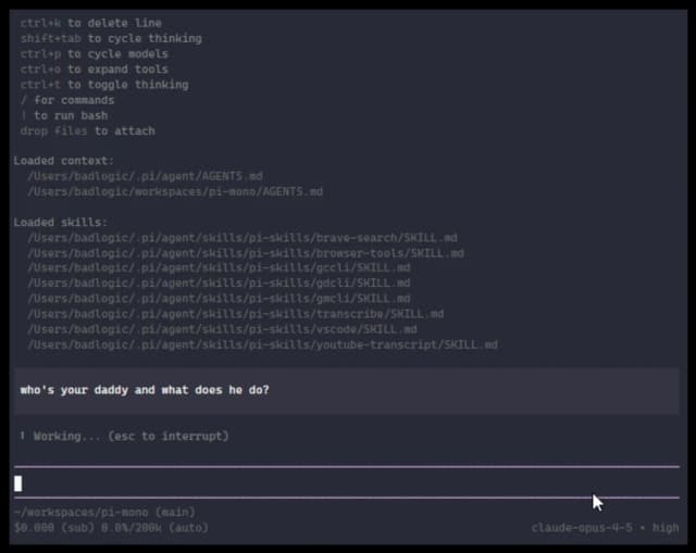 Pi screenshot 3