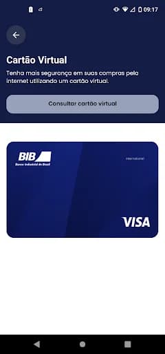 Cartão BIB screenshot 4
