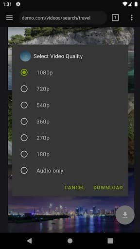 Video Downloader Pro screenshot 3