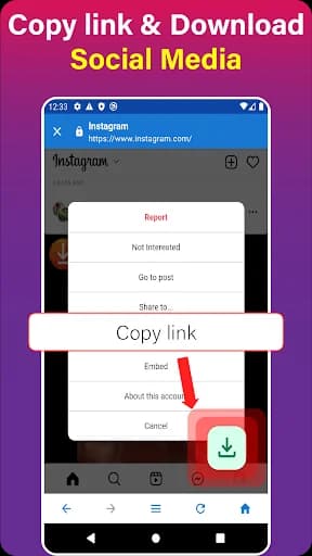4K Video Downloader screenshot 2