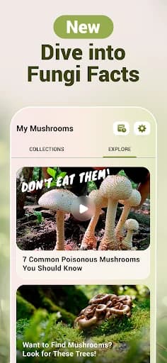 Mushroom ID - Fungi Identifier screenshot 4