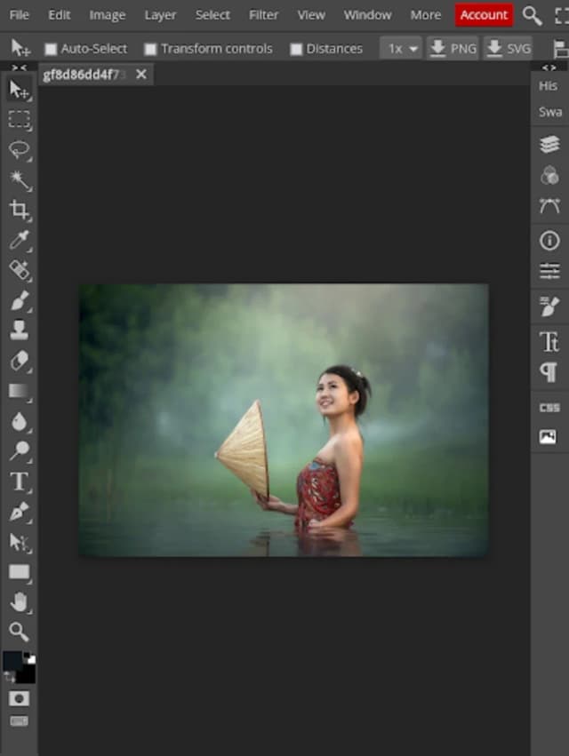 Photopea screenshot 4