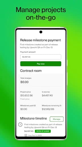 Upwork screenshot 6