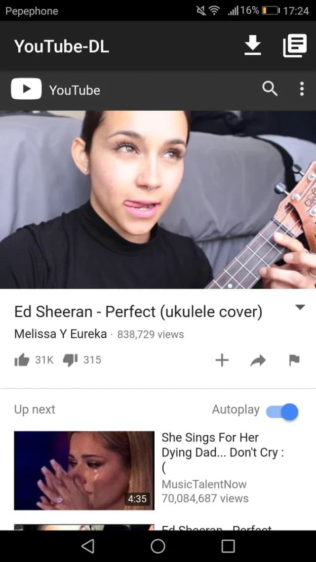 YouTube-DL screenshot 3