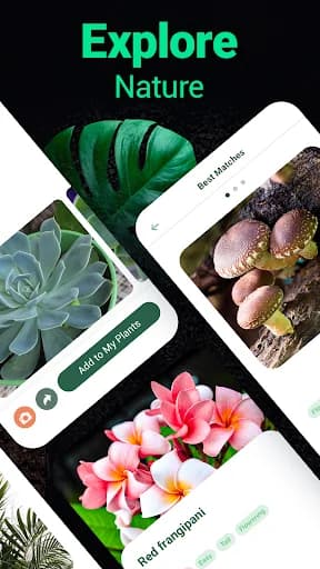 Plantum - Plant Identifier screenshot 4