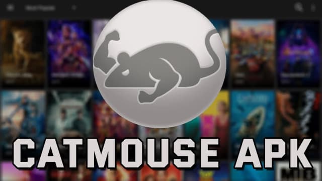 Catmouse app screenshot 4
