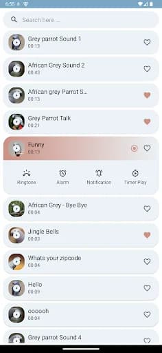 African Grey Parrot Sounds screenshot 5
