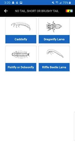 Creek Critters screenshot 5