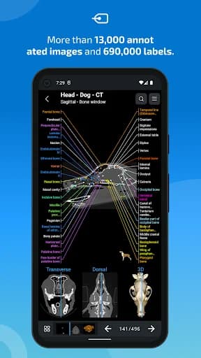 IMAIOS vet-Anatomy screenshot 2
