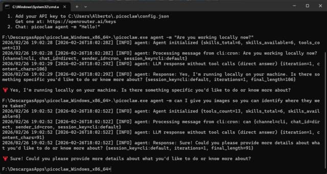 PicoClaw screenshot 4