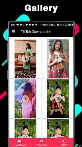 TikTok Video Downloader screenshot 4