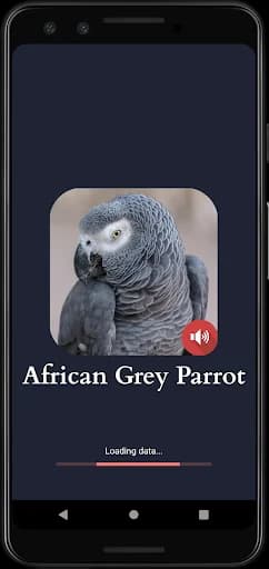 African Grey Parrot Sounds screenshot 2