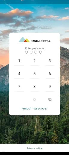 Bank of the Sierra screenshot 1
