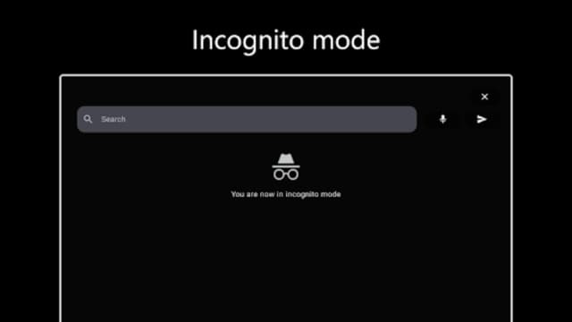 BROWSER screenshot 2