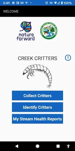 Creek Critters screenshot 1