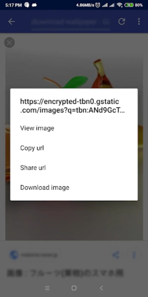 IDM - Download Manager Plus screenshot 2