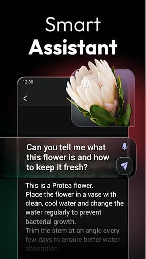 ChatOn - AI Chat Bot Assistant screenshot 2
